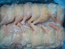 Research: Blast surface freezing does not kill poultry bacteria