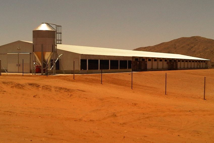 Namibian project aims for poultry self-sufficiency