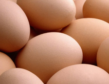 Ranking the world’s major egg producers