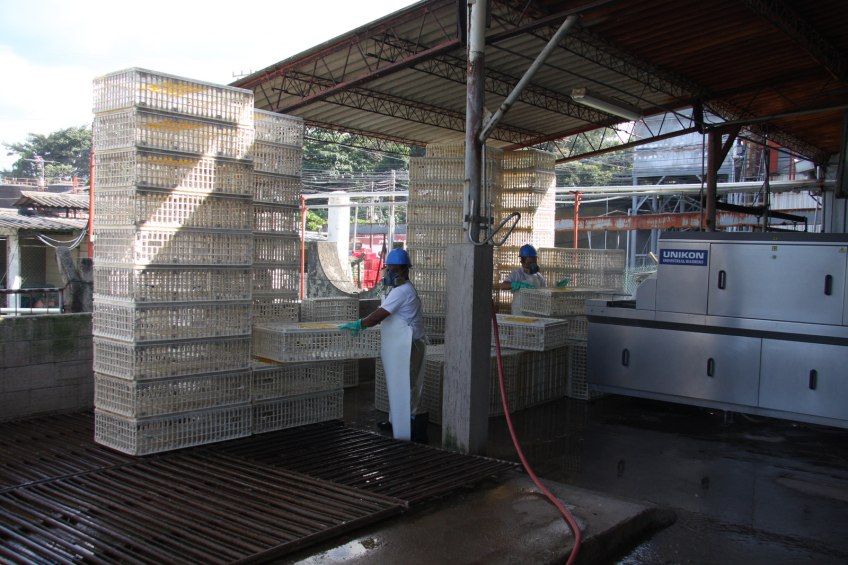 Clean broiler coops to reduce bacterial load