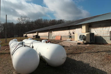 Recycling heat economically in the poultry house