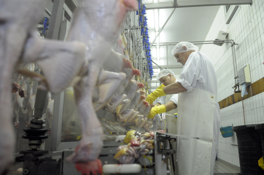 115 poultry facilities recognised for safety performance