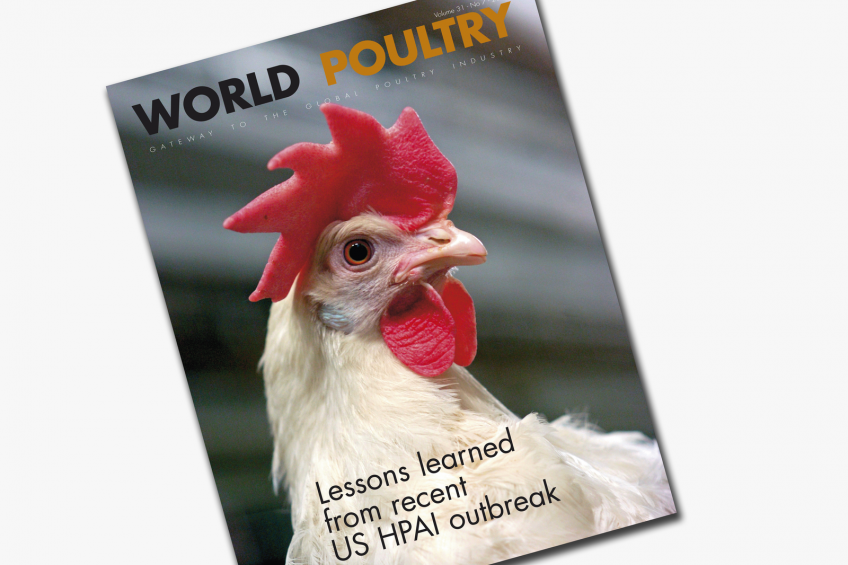 Poultry diseases featured in new World Poultry magazine