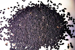 Black cumin and garlic powder in poultry diets