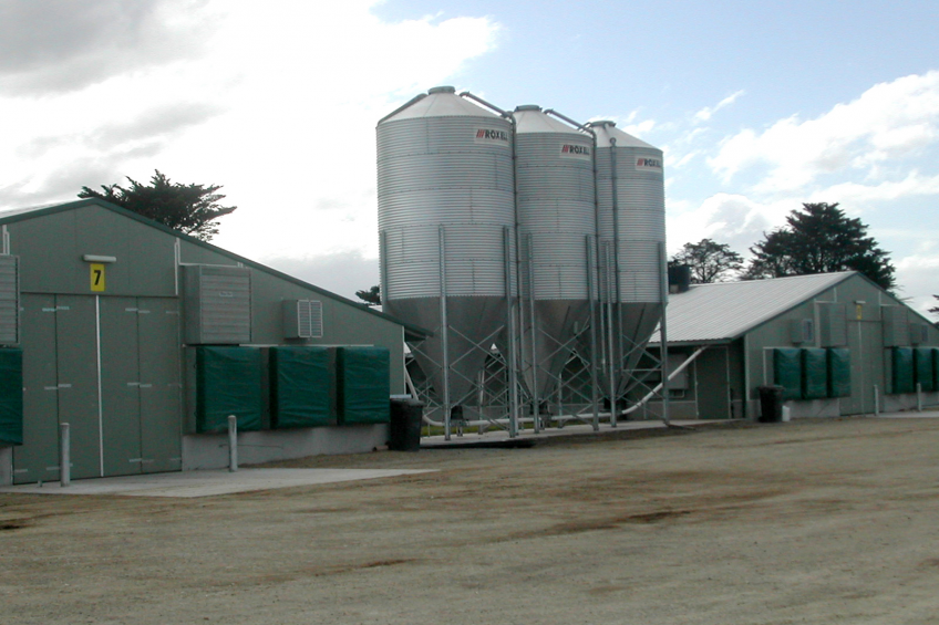 7 tips for correct poultry feed storage