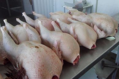 Hopes high that South Korea will lift US poultry ban
