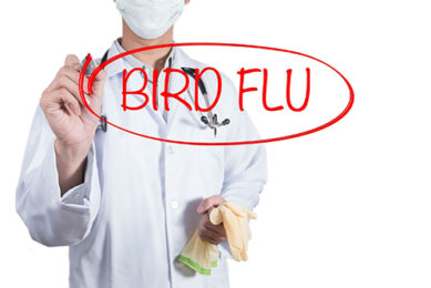 Avian influenza