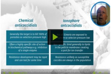Video 3: Evaluating chemicals for coccidiosis control and prevention