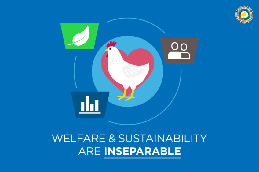 Breeding for welfare and sustainability is good business