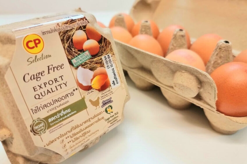 CP Foods says strong hens, good genetics, a high standard of animal welfare practices and biosecurity go into producing these free-range eggs.