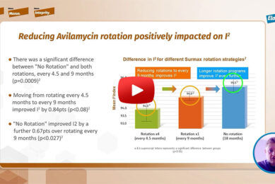 Efficacy of long term use of Avilamycin in broiler production