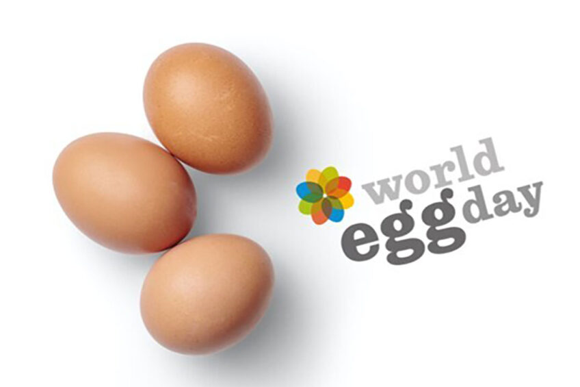 World Egg Day honours the highly nutritious and brilliantly versatile egg, highlighting the vast range of unique benefits it brings to people of all ages. Photo: Mockup Graphics and the IEC