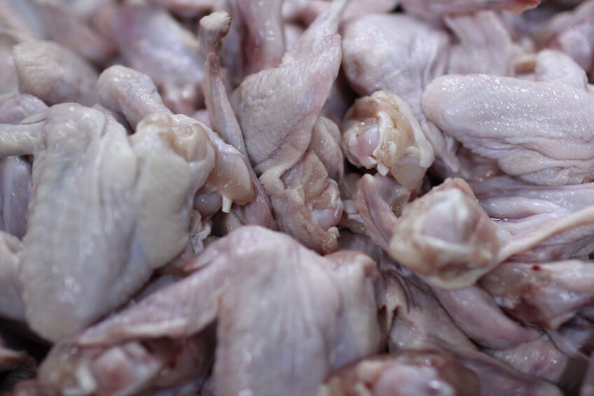 Afghanistan produced just over 260,000 tonnes of chicken meat. Photo: Andreas Göllner