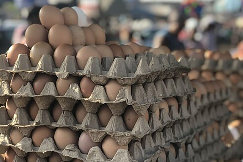 After 5 years, the UAE has lifted a ban of egg and other poultry products from India. Photo: Kojo Blebu