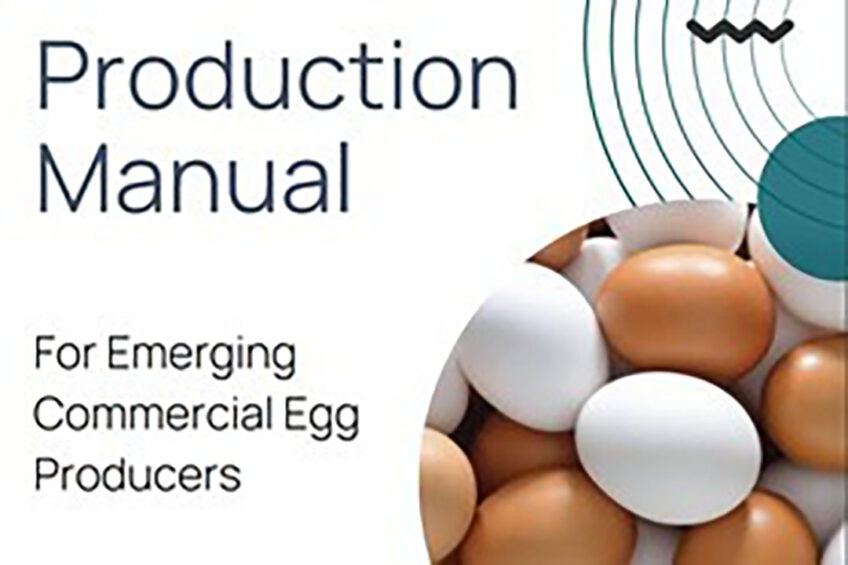 The manual, which is available in French, English and Portuguese, aims to support commercial egg production in developing countries. Photo: International Egg Foundation