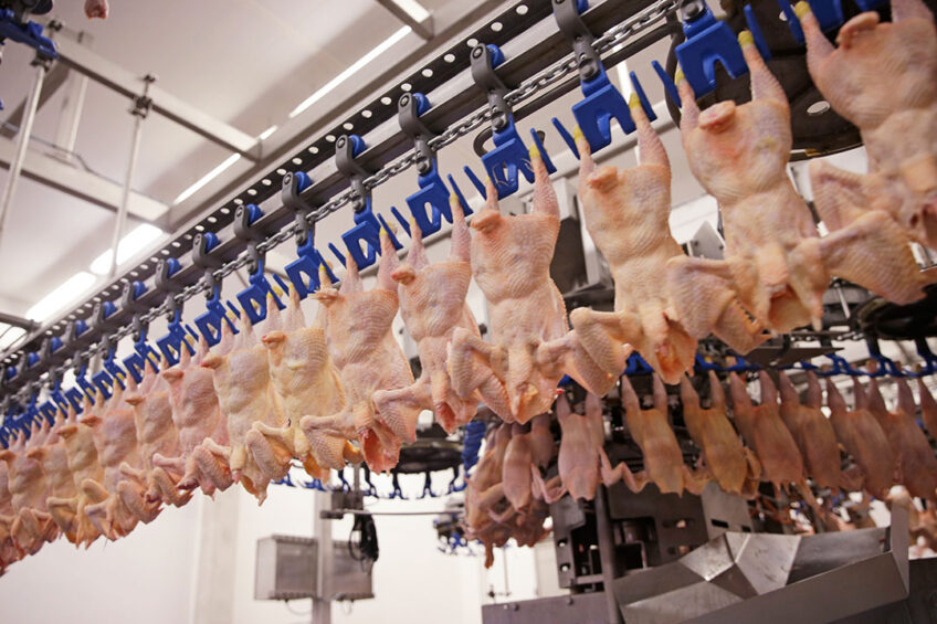 The Brazilian Animal Protein Association (ABPA) voiced surprise about the decision, and ministries are evaluating a possible appeal to the WTO. Photo: Michel Zoeter