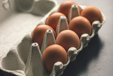 Namibia s 6 egg producers market about 100 million eggs per year. Photo: Edouard Gilles