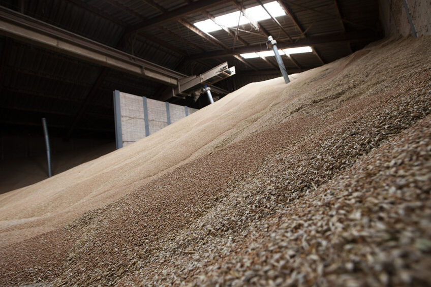 The feed sector faced increasing requests for the carbon footprint of feed. Photo: Hans Banus