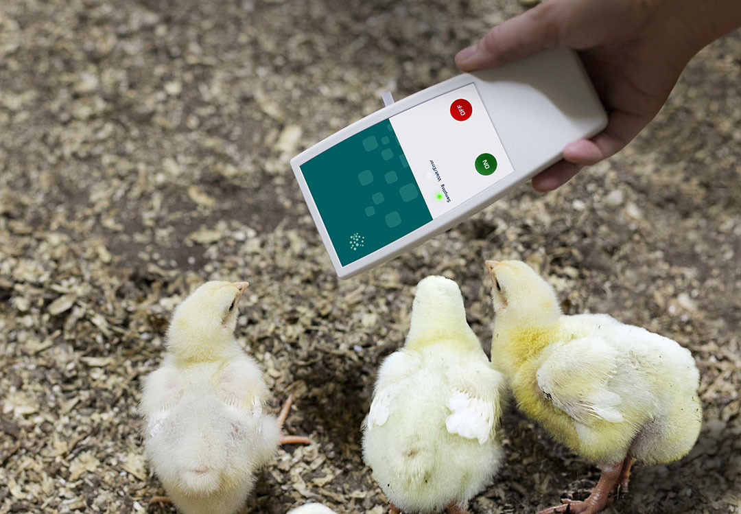 Smart Chicken Coop Monitoring & Control System! We NEED your input!!