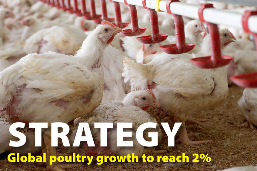 Poultry World edition 1 of 2022 now online