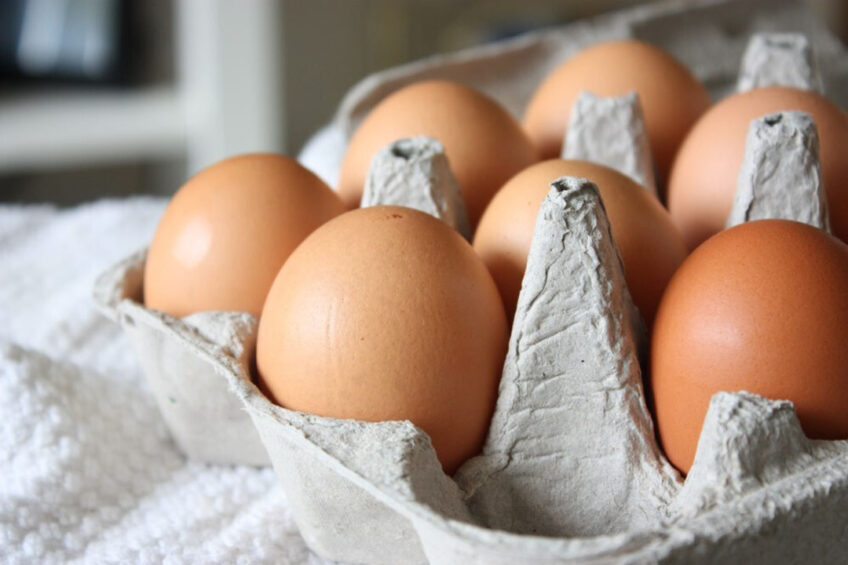 Canada’s egg sector has “made tremendous gains to its environmental sustainability over time”. Photo: Morgana Perraud