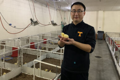 Assistant professor Yang Zhao, says the team is aiming to develop an affordable system with excellent capabilities for the benefit of the birds and the producers. Photo: University of Tennessee Institute of Agriculture