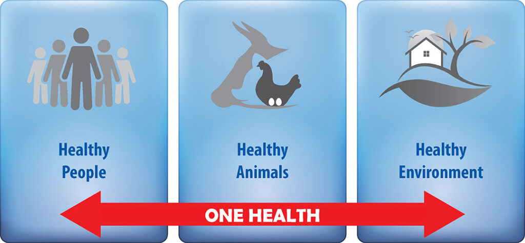 Figure 1 – The One Health concept