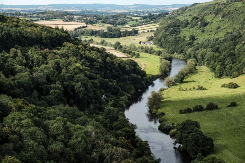 River Action claims that the rapid ecological collapse of River Wye is linked to growth in intensive poultry production across the river catchment. Photo: Almapapi