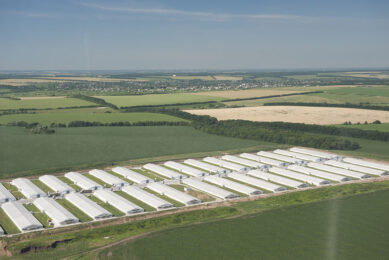 The Vinnytsia poultry complex is one of MHP's largest production sites in Ukraine. Photo: MHP