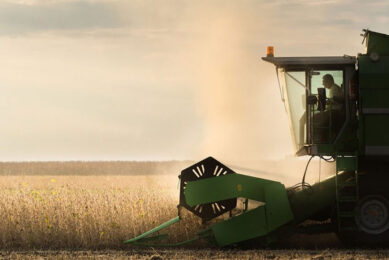 Since 2000, the harvested soybean area in Brazil has increased by 160%. Photo: Shutterstock