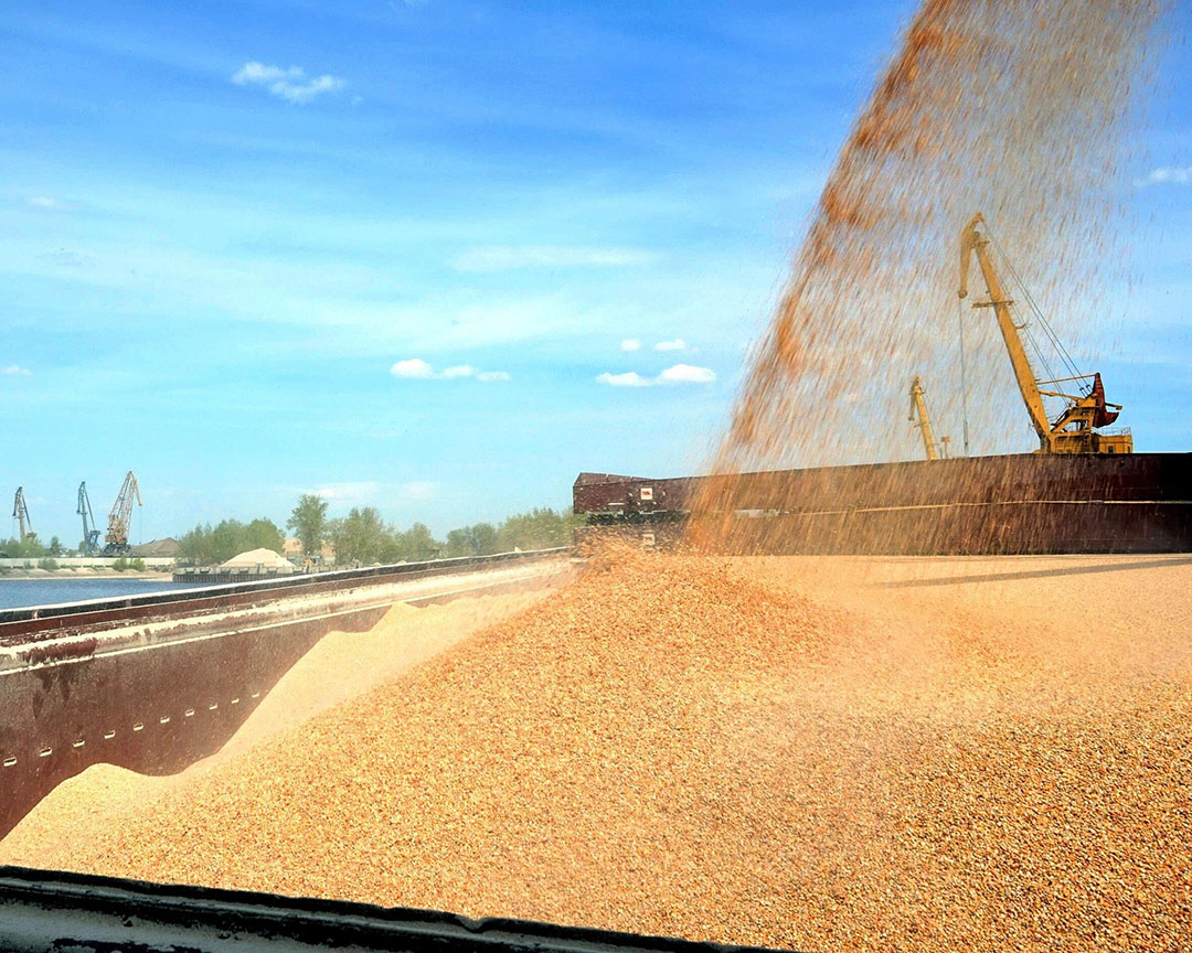 Russia's export development is expected to be mainly driven by expanded grain production. Photo: Misset