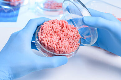 Cultured meat in a petri dish. Is this (part of) the future for meat consumers?