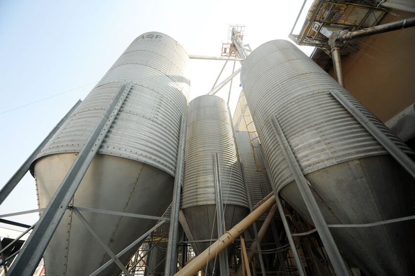 Feed represents about 70% of the total cost of producing poultry. Photo: Cobb Vantress