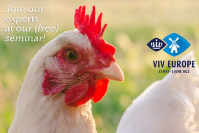 Poultry World to hold hybrid event at VIV Europe