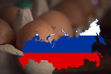 Russia forecasts a rise in poultry and egg exports despite sanctions