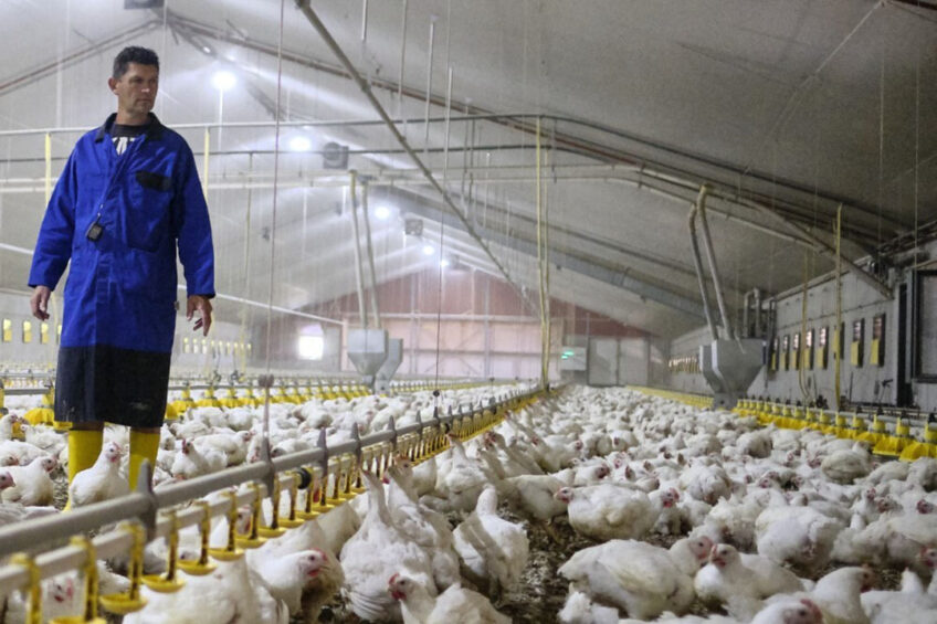 “As an industry, we need to make it easier for individuals, both within the industry, as well as school-leavers, to find information about potential careers in agriculture and horticulture,” says poultry farmer, Lindsey Wedgewood. Photo: Roel Dijkstra