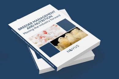 The official book launch of Novus International’s latest publication, Breeder Management and Nutrition: Moving the industry forward, will take place at World's Poultry Congress 2022. Photo: Novus international