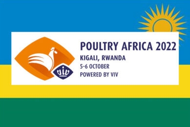 Last call for poultry performance seminar in Rwanda