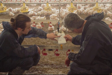 Photo: Poultry Sense