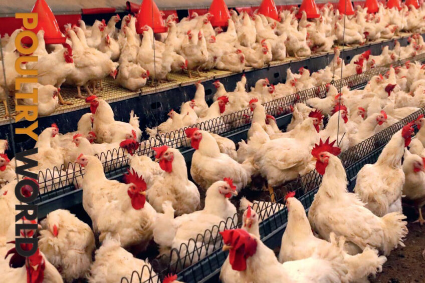 Poultry World edition 6 of 2022 is now online