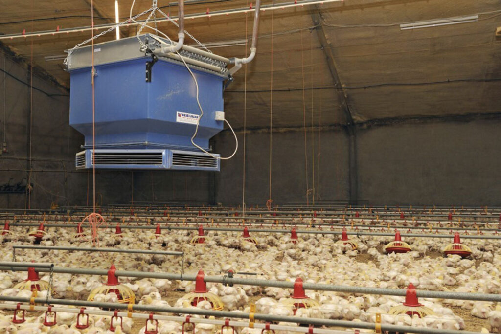 Water source heat pump technology is commonly used in broiler houses to regulate the environmental temperature, although the heat source is often some form of hydrocarbon. Photo: Bart Nijs