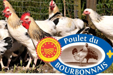 The ‘Poulet du Bourbonnais’ is easily identifiable thanks to its blue card label, marked with the emblematic fleur-de-lys of the Bourbons, and its red, white, and blue riband. Photo: Bourbonnais Chicken
