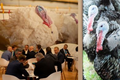 EuroTier’s technical programme for poultry farming