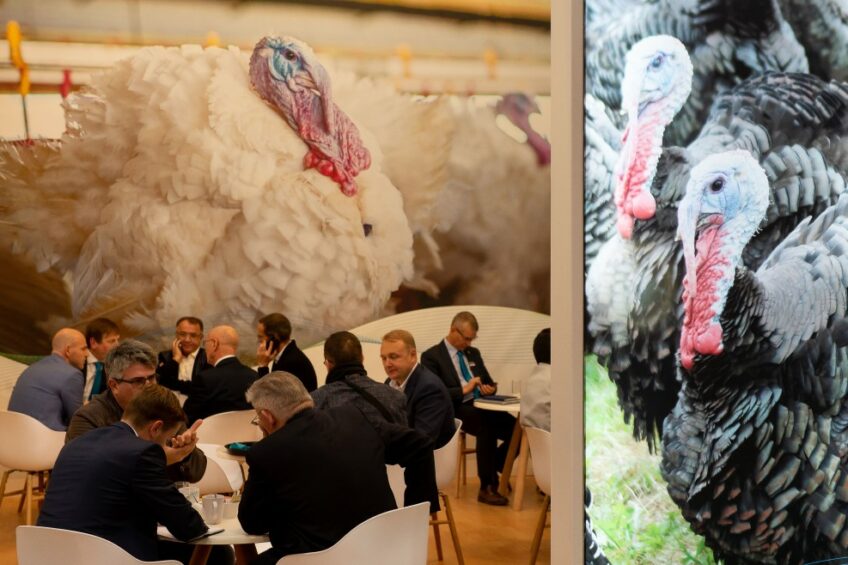 EuroTier’s technical programme for poultry farming