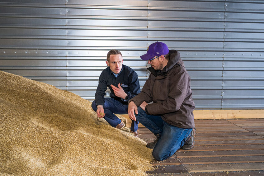 Feeding technologies can help reduce the carbon footprint of dairy and beef farming, improve poultry and pig production sustainability, and help rid animal diets of toxins. Photo: Alltech