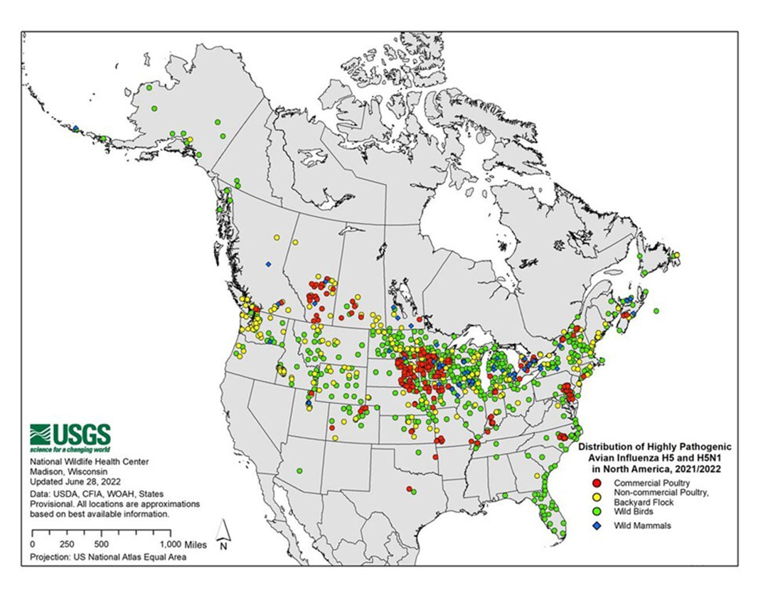 Figura 1: brotes de IA en América del Norte en 2022 según USGS;  estado al 26 de junio de 2022. Foto: USGS