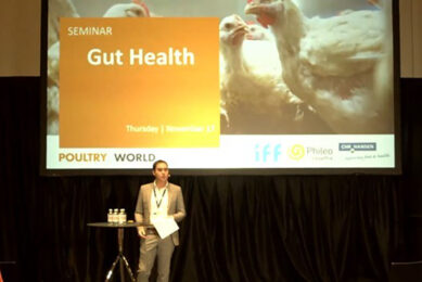 ​VIDEOS: EuroTier poultry seminars available to watch