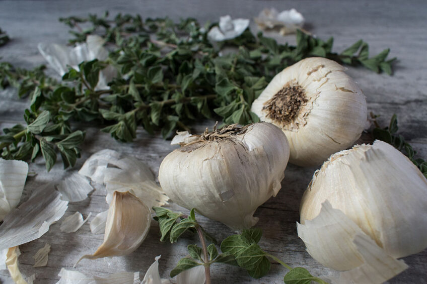 Oregano and garlic possess very strong anticoccidial activity. Photo: Canva