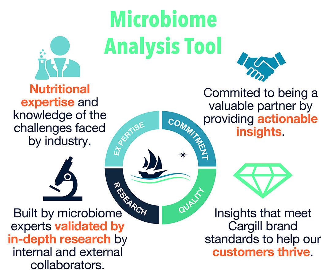 Holistic approach of the microbiome analysis tool.