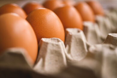 Ukraine was one of Europe's largest egg exporters in previous years, selling egg products primarily to the Middle East and North Africa. Photo: Erika Varga